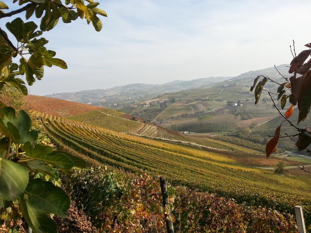 Villa Barbero Alba Langhe Mango Zewnętrze zdjęcie